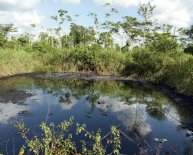 Chevron oil spill Ecuador