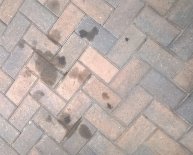 Clean up oil spill On Driveway