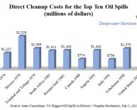Cleanup of oil Spills