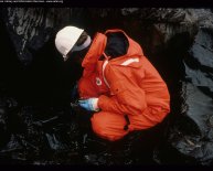 Exxon Valdez oil spill information