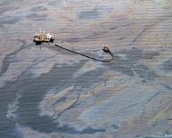 Exxon Valdez oil spill recovery