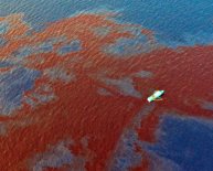 Gulf oil spill Update