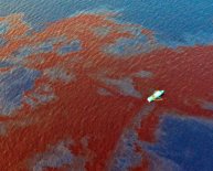 Gulf oil spill Update