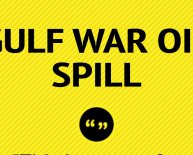 Gulf War oil spill cleanup