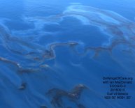 Oil spill Articles