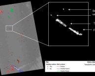 Oil spill detection