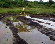 Oil spill in Niger Delta