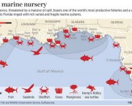 Oil spills in Florida