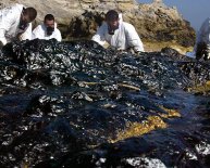 Prestige oil spill