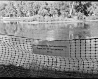 Red Butte Creek oil spill