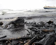 What caused the Exxon Valdez oil spill?