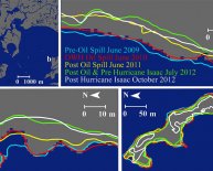 What caused the Gulf oil spill?