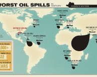 What years did the oil spill happened?