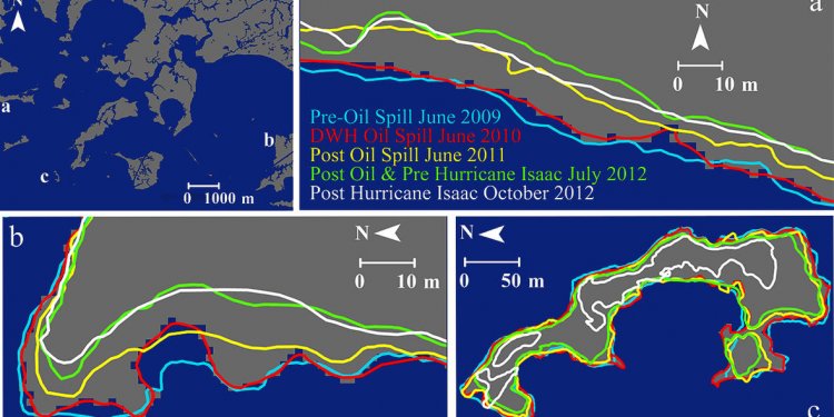 What caused the Gulf oil spill?