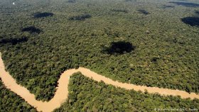 Yasuni National Park aerial shot, lake with rainforest (Photo: dpa - Bildfunk)